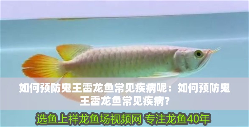 如何預防鬼王雷龍魚常見疾病呢：如何預防鬼王雷龍魚常見疾病？
