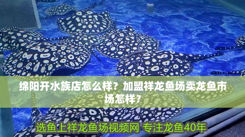 綿陽開水族店怎么樣？加盟祥龍魚場賣龍魚市場怎樣？