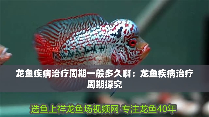 龍魚(yú)疾病治療周期一般多久?。糊堲~(yú)疾病治療周期探究