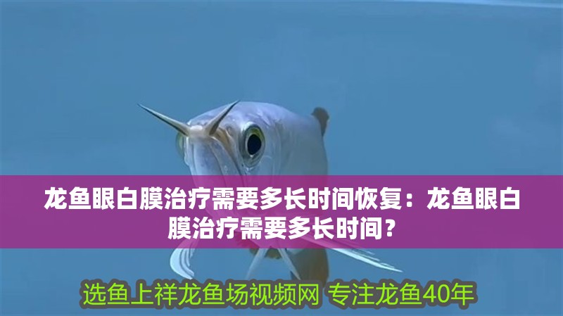 龍魚眼白膜治療需要多長時間恢復：龍魚眼白膜治療需要多長時間？