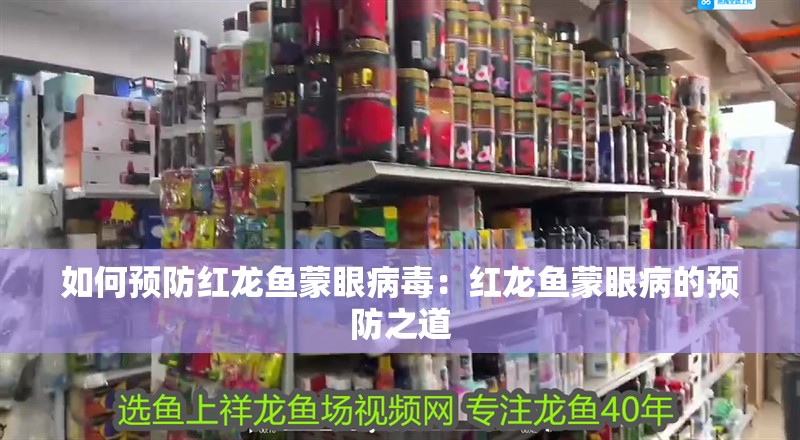 如何預防紅龍魚蒙眼病毒：紅龍魚蒙眼病的預防之道