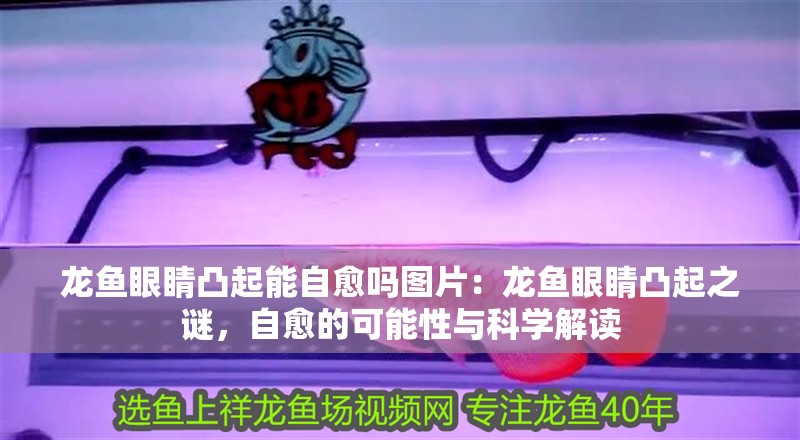 龍魚眼睛凸起能自愈嗎圖片：龍魚眼睛凸起之謎，自愈的可能性與科學解讀