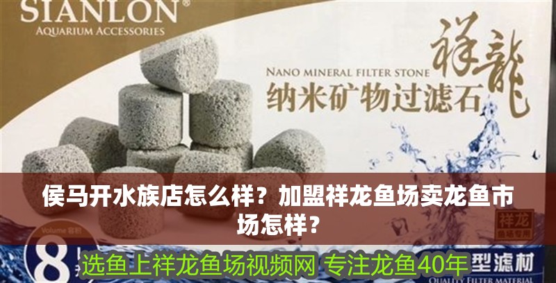 侯馬開水族店怎么樣？加盟祥龍魚場賣龍魚市場怎樣？