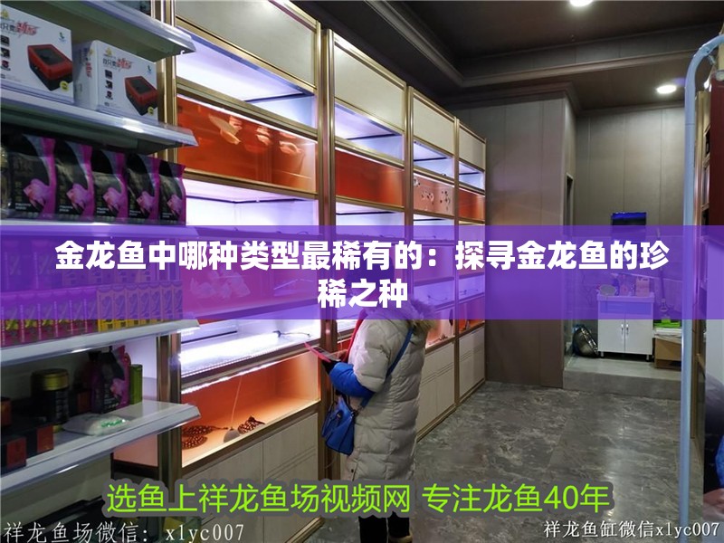 金龍魚中哪種類型最稀有的：探尋金龍魚的珍稀之種