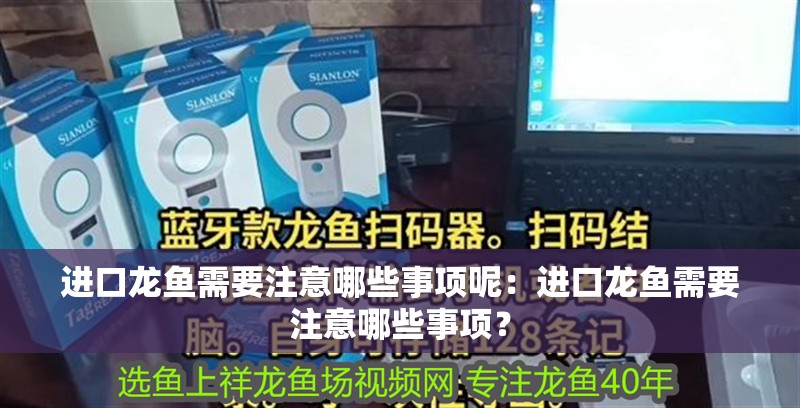 進(jìn)口龍魚需要注意哪些事項(xiàng)呢：進(jìn)口龍魚需要注意哪些事項(xiàng)？