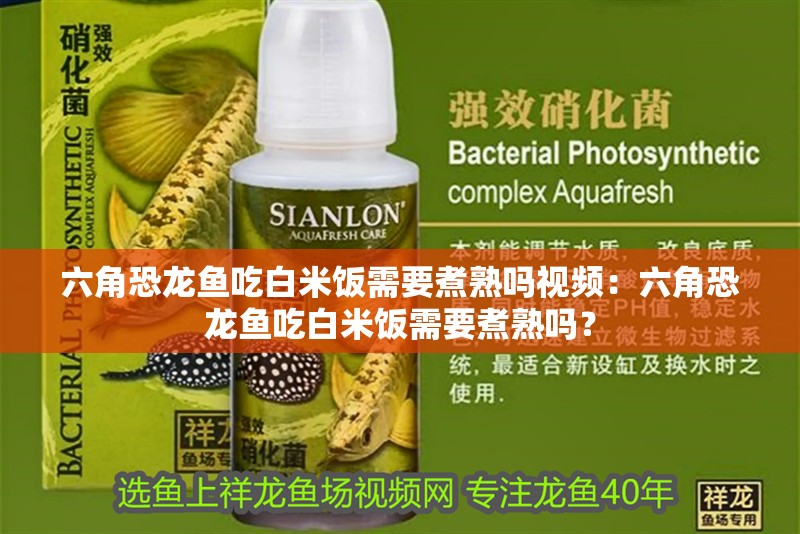 六角恐龍魚吃白米飯需要煮熟嗎視頻：六角恐龍魚吃白米飯需要煮熟嗎？