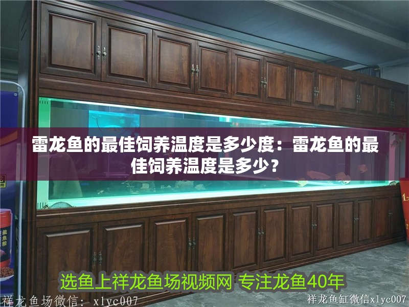 雷龍魚的最佳飼養(yǎng)溫度是多少度：雷龍魚的最佳飼養(yǎng)溫度是多少？ 雷龍魚的最佳飼養(yǎng)溫度是多少度：雷龍魚的最佳飼養(yǎng)溫度是多少？ 水族問答