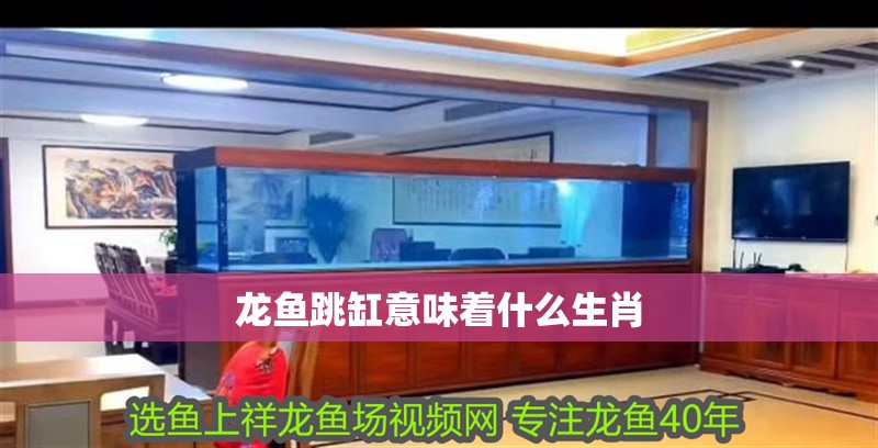 龍魚跳缸意味著什么生肖