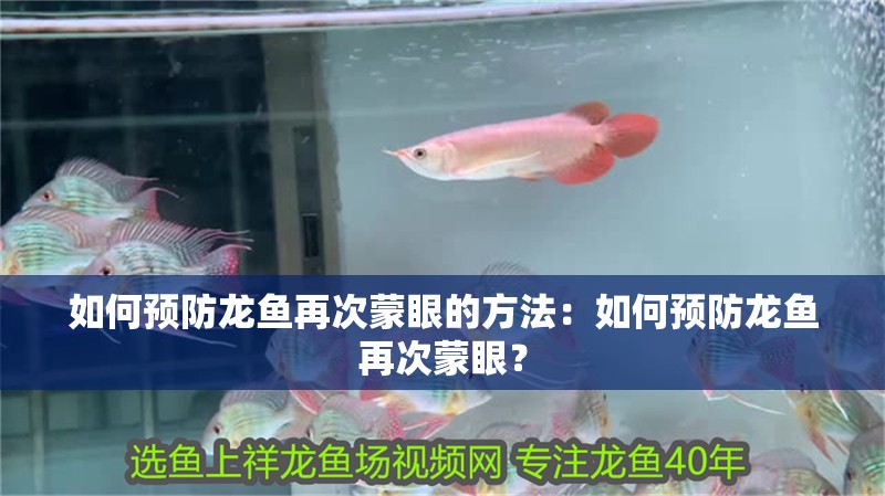 如何預防龍魚再次蒙眼的方法：如何預防龍魚再次蒙眼？ 如何預防龍魚再次蒙眼的方法：如何預防龍魚再次蒙眼？ 水族問答