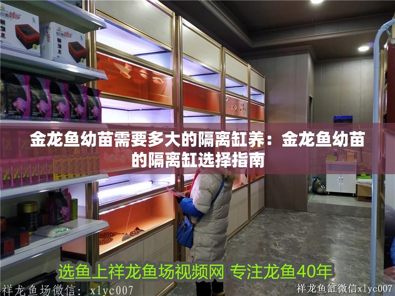 金龍魚幼苗需要多大的隔離缸養：金龍魚幼苗的隔離缸選擇指南