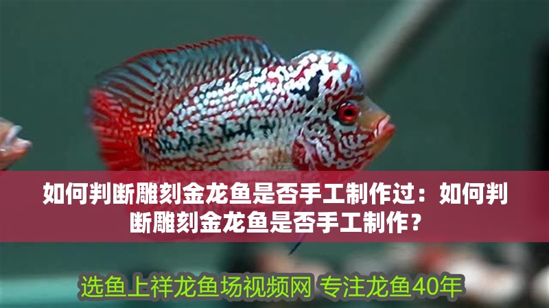 如何判斷雕刻金龍魚是否手工制作過：如何判斷雕刻金龍魚是否手工制作？