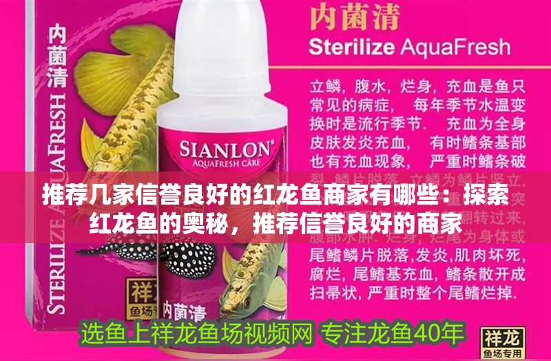 推薦幾家信譽良好的紅龍魚商家有哪些：探索紅龍魚的奧秘，推薦信譽良好的商家