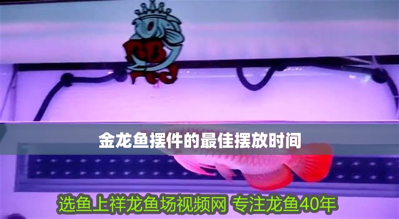 金龍魚擺件的最佳擺放時間