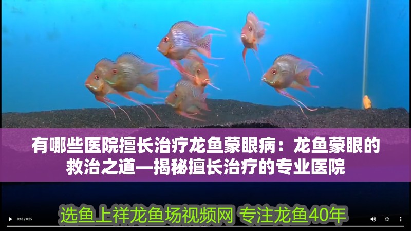 有哪些醫院擅長治療龍魚蒙眼?。糊堲~蒙眼的救治之道—揭秘擅長治療的專業醫院 有哪些醫院擅長治療龍魚蒙眼病：龍魚蒙眼的救治之道—揭秘擅長治療的專業醫院 水族問答