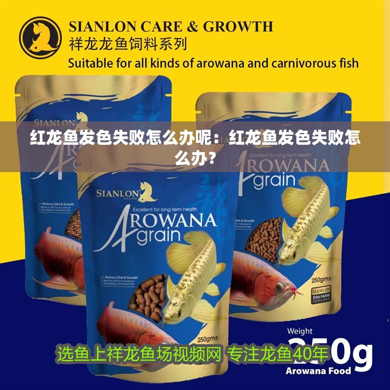 紅龍魚發色失敗怎么辦呢：紅龍魚發色失敗怎么辦？