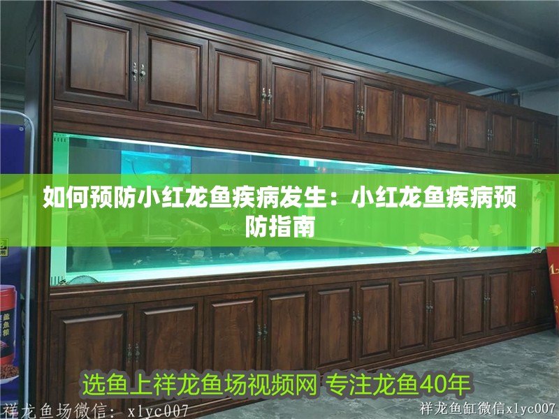 如何預防小紅龍魚疾病發生：小紅龍魚疾病預防指南