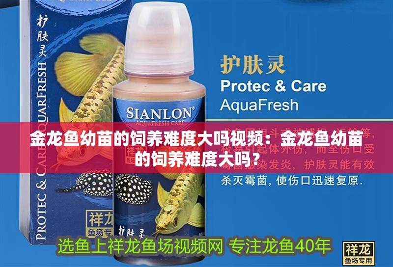 魚(yú)缸過(guò)濾器選購(gòu)指南:自制魚(yú)缸過(guò)濾器魚(yú)缸上置過(guò)濾器對(duì)于養(yǎng)魚(yú)愛(ài)好者的必備知識(shí) 金龍魚(yú)幼苗的飼養(yǎng)難度大嗎視頻:金龍魚(yú)幼苗的飼養(yǎng)難度大嗎? 水族問(wèn)答 金龍魚(yú)幼苗的飼養(yǎng)難度大嗎視頻:金龍魚(yú)幼苗的飼養(yǎng)難度大嗎? 金龍魚(yú)幼苗的飼養(yǎng)難度大嗎視頻:金龍魚(yú)幼苗的飼養(yǎng)難度大嗎? 水族問(wèn)答