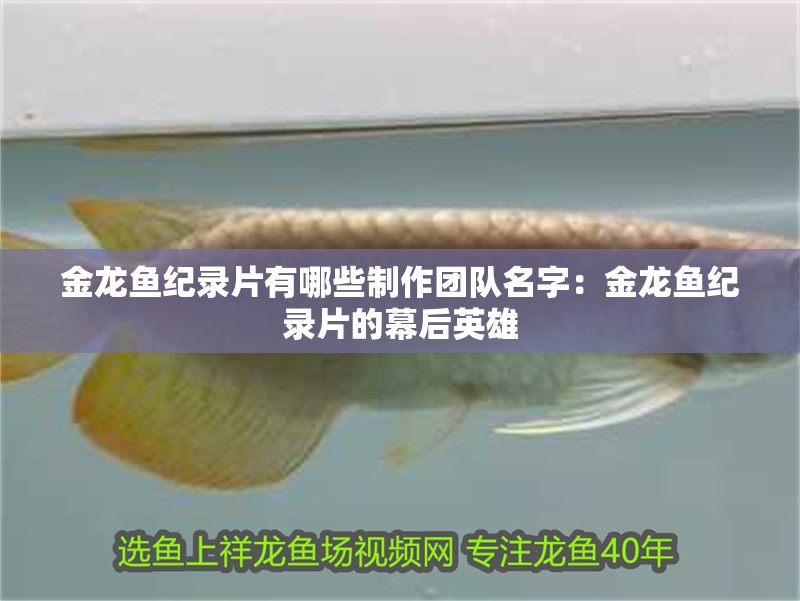 魚缸過濾器選購指南:自制魚缸過濾器魚缸上置過濾器對于養(yǎng)魚愛好者的必備知識(shí) 金龍魚紀(jì)錄片有哪些制作團(tuán)隊(duì)名字:金龍魚紀(jì)錄片的幕后英雄 水族問答 金龍魚紀(jì)錄片有哪些制作團(tuán)隊(duì)名字:金龍魚紀(jì)錄片的幕后英雄 金龍魚紀(jì)錄片有哪些制作團(tuán)隊(duì)名字:金龍魚紀(jì)錄片的幕后英雄 水族問答
