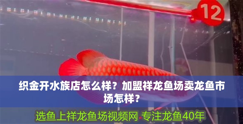 給大魚缸換水的作文:體驗(yàn)給大魚缸換水的樂趣:體驗(yàn)給大魚缸換水:給大魚缸換水的作文 織金開水族店怎么樣?加盟祥龍魚場賣龍魚市場怎樣? 水族館百科(水族館加盟) 織金開水族店怎么樣?加盟祥龍魚場賣龍魚市場怎樣? 織金開水族店怎么樣?加盟祥龍魚場賣龍魚市場怎樣? 水族館百科(水族館加盟)