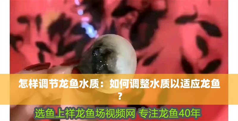 怎樣調節龍魚水質：如何調整水質以適應龍魚？ 怎樣調節龍魚水質：如何調整水質以適應龍魚？ 水族問答