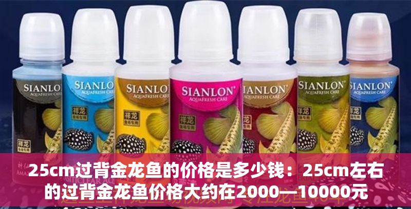 25cm過背金龍魚的價格是多少錢：25cm左右的過背金龍魚價格大約在2000—10000元