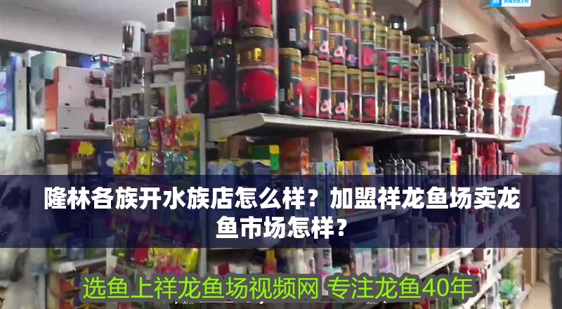 隆林各族開水族店怎么樣？加盟祥龍魚場賣龍魚市場怎樣？
