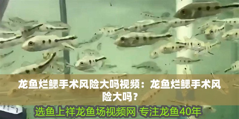 魚缸過濾器選購指南:自制魚缸過濾器魚缸上置過濾器對于養魚愛好者的必備知識 龍魚爛鰓手術風險大嗎視頻:龍魚爛鰓手術風險大嗎? 水族問答 龍魚爛鰓手術風險大嗎視頻:龍魚爛鰓手術風險大嗎? 龍魚爛鰓手術風險大嗎視頻:龍魚爛鰓手術風險大嗎? 水族問答