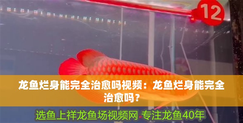 龍魚爛身能完全治愈嗎視頻：龍魚爛身能完全治愈嗎？ 龍魚爛身能完全治愈嗎視頻：龍魚爛身能完全治愈嗎？ 水族問答