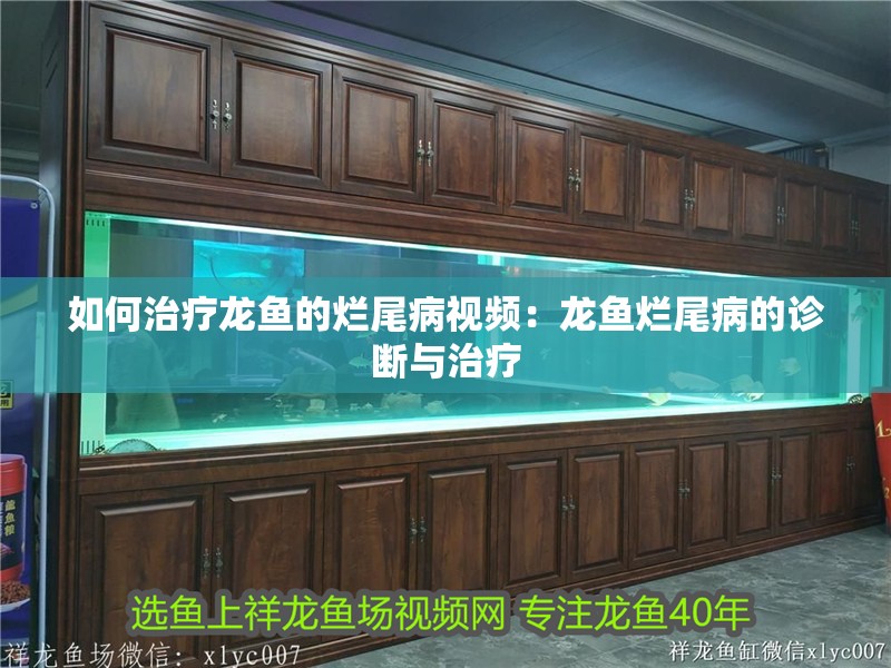 如何治療龍魚的爛尾病視頻：龍魚爛尾病的診斷與治療