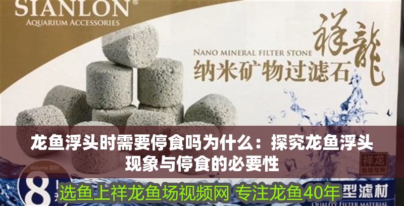 龍魚浮頭時需要停食嗎為什么：探究龍魚浮頭現象與停食的必要性 龍魚浮頭時需要停食嗎為什么：探究龍魚浮頭現象與停食的必要性 水族問答