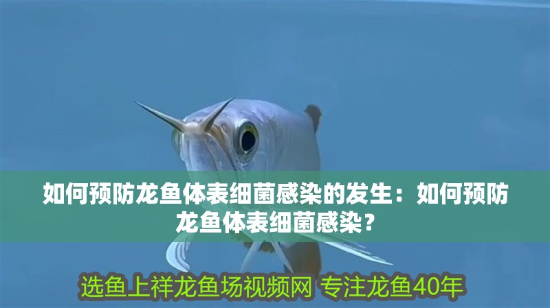 我的虎魚真菌感染了要怎么處理 如何預(yù)防龍魚體表細(xì)菌感染的發(fā)生:如何預(yù)防龍魚體表細(xì)菌感染? 水族問答 如何預(yù)防龍魚體表細(xì)菌感染的發(fā)生:如何預(yù)防龍魚體表細(xì)菌感染? 如何預(yù)防龍魚體表細(xì)菌感染的發(fā)生:如何預(yù)防龍魚體表細(xì)菌感染? 水族問答