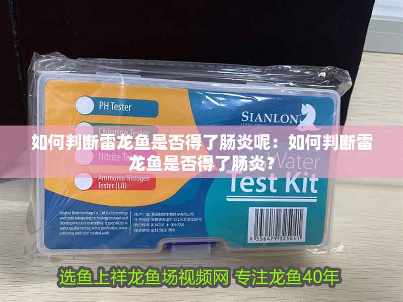 魚缸用增氧泵價格是多少:魚缸增氧機-xtrac增氧機-xtrac增氧機 如何判斷雷龍魚是否得了腸炎呢:如何判斷雷龍魚是否得了腸炎? 水族問答 如何判斷雷龍魚是否得了腸炎呢:如何判斷雷龍魚是否得了腸炎? 如何判斷雷龍魚是否得了腸炎呢:如何判斷雷龍魚是否得了腸炎? 水族問答