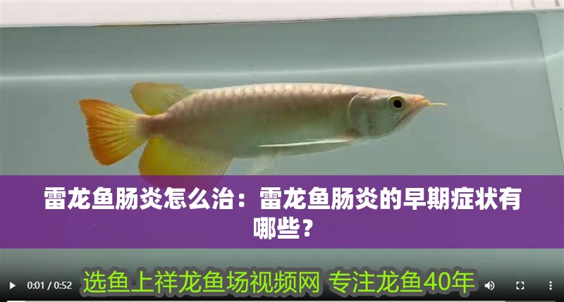 雷龍魚腸炎怎么治：雷龍魚腸炎的早期癥狀有哪些？ 雷龍魚腸炎怎么治：雷龍魚腸炎的早期癥狀有哪些？ 水族問答