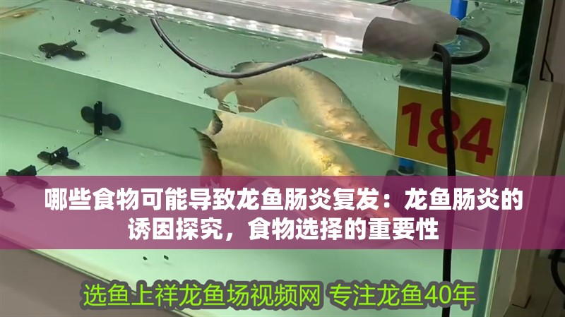 哪些食物可能導致龍魚腸炎復發：龍魚腸炎的誘因探究，食物選擇的重要性