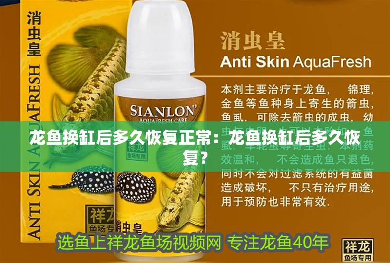 龍魚換缸后多久恢復正常：龍魚換缸后多久恢復？