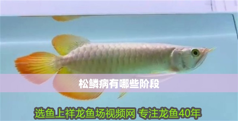 松鱗病有哪些階段