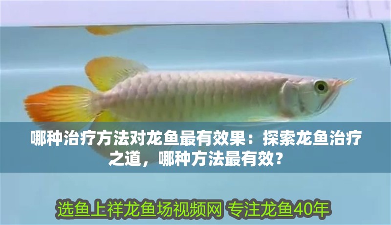 魚缸用增氧泵價格是多少:魚缸增氧機-xtrac增氧機-xtrac增氧機 哪種治療方法對龍魚最有效果:探索龍魚治療之道,哪種方法最有效? 水族問答 哪種治療方法對龍魚最有效果:探索龍魚治療之道,哪種方法最有效? 哪種治療方法對龍魚最有效果:探索龍魚治療之道,哪種方法最有效? 水族問答