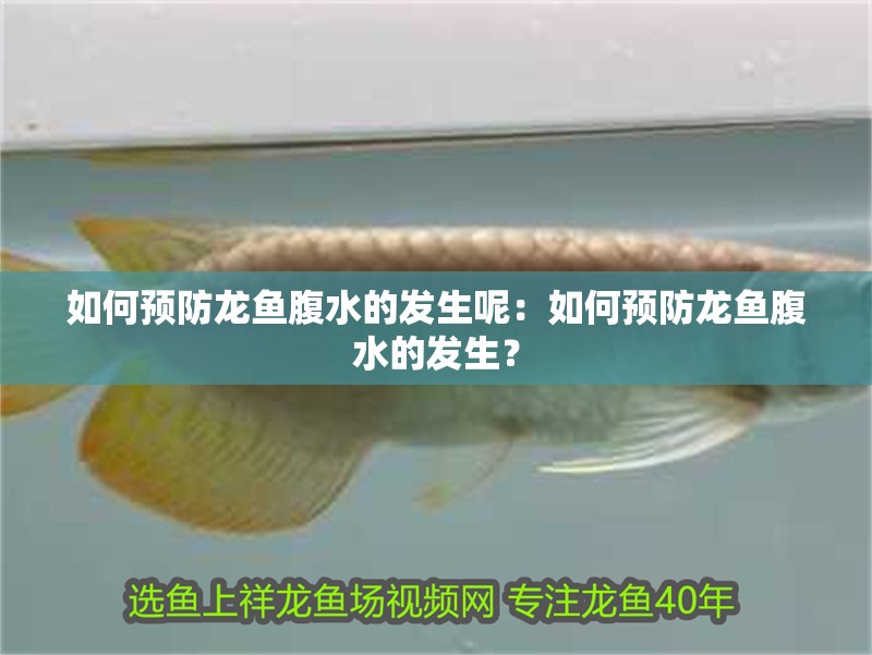 如何預(yù)防龍魚腹水的發(fā)生呢：如何預(yù)防龍魚腹水的發(fā)生？ 如何預(yù)防龍魚腹水的發(fā)生呢：如何預(yù)防龍魚腹水的發(fā)生？ 水族問答