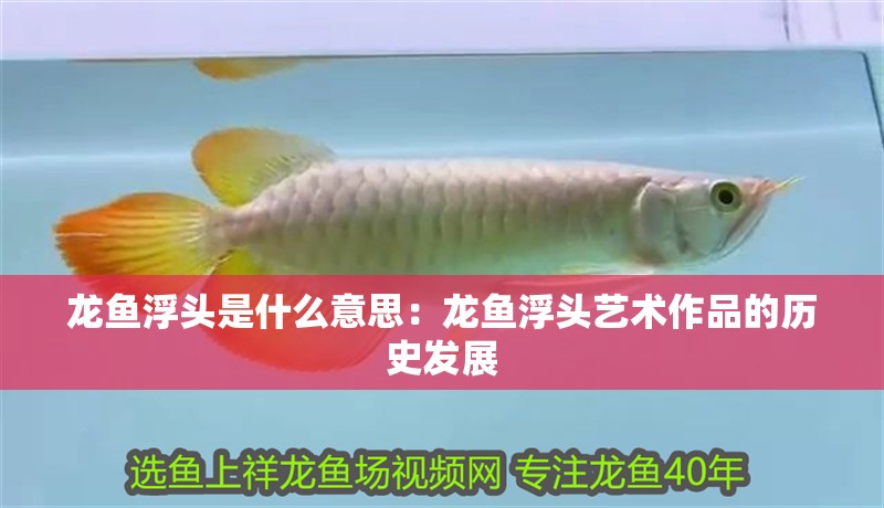 魚(yú)缸造景先放沙還是先放水(魚(yú)缸造景先鋪沙還是先放石頭) 龍魚(yú)浮頭是什么意思:龍魚(yú)浮頭藝術(shù)作品的歷史發(fā)展 水族問(wèn)答 龍魚(yú)浮頭是什么意思:龍魚(yú)浮頭藝術(shù)作品的歷史發(fā)展 龍魚(yú)浮頭是什么意思:龍魚(yú)浮頭藝術(shù)作品的歷史發(fā)展 水族問(wèn)答