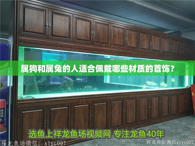 屬狗和屬兔的人適合佩戴哪些材質的首飾？