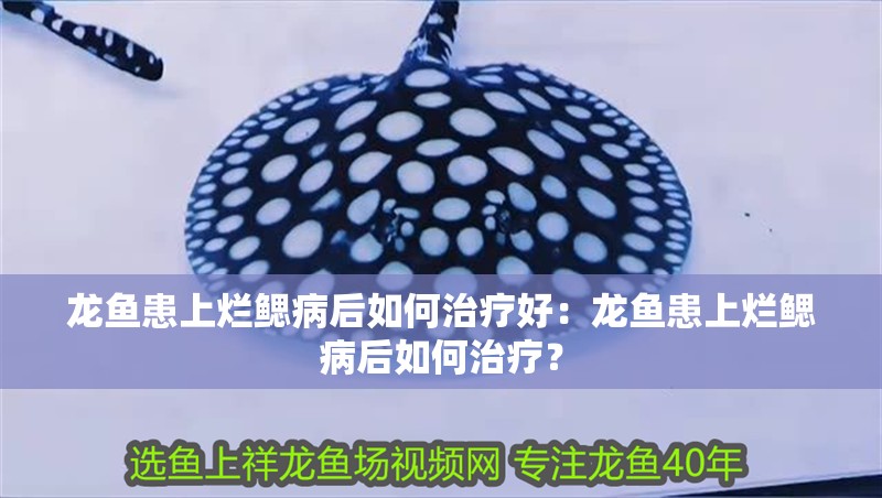 龍魚患上爛鰓病后如何治療好：龍魚患上爛鰓病后如何治療？
