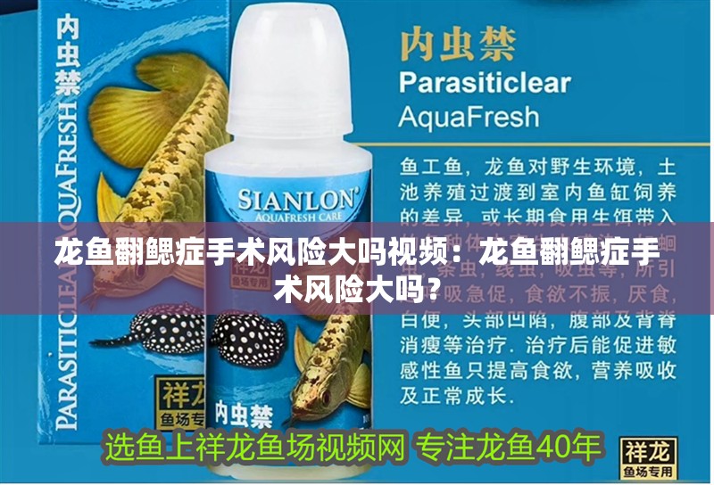 魚缸用增氧泵價格是多少:魚缸增氧機-xtrac增氧機-xtrac增氧機 龍魚翻鰓癥手術(shù)風險大嗎視頻:龍魚翻鰓癥手術(shù)風險大嗎? 水族問答 龍魚翻鰓癥手術(shù)風險大嗎視頻:龍魚翻鰓癥手術(shù)風險大嗎? 龍魚翻鰓癥手術(shù)風險大嗎視頻:龍魚翻鰓癥手術(shù)風險大嗎? 水族問答