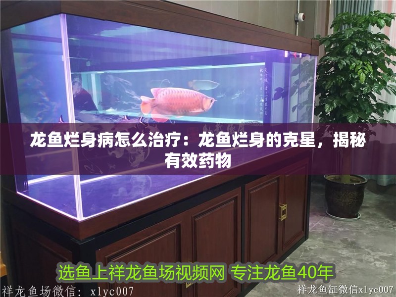 鸚鵡魚和銀龍魚混養怎樣喂食 龍魚爛身病怎么治療:龍魚爛身的克星,揭秘有效藥物 水族問答 龍魚爛身病怎么治療:龍魚爛身的克星,揭秘有效藥物 龍魚爛身病怎么治療:龍魚爛身的克星,揭秘有效藥物 水族問答