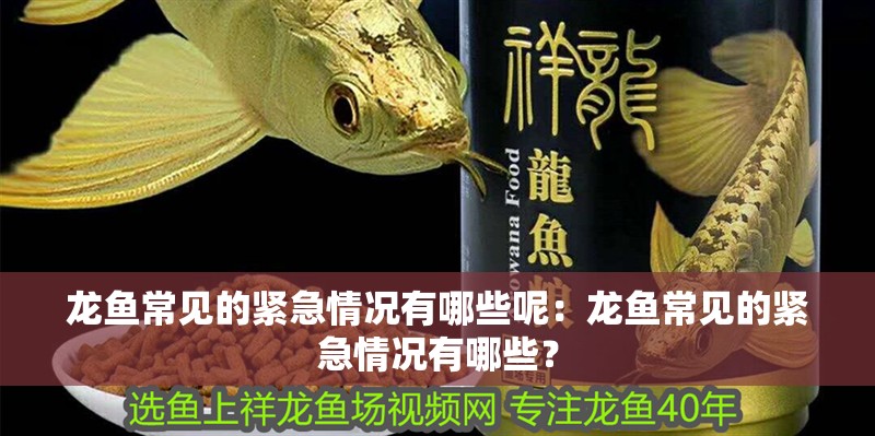 龍魚常見的緊急情況有哪些呢：龍魚常見的緊急情況有哪些？