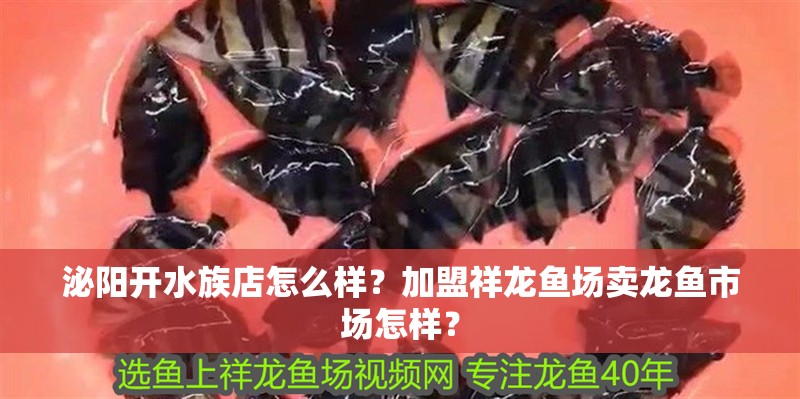 魚缸用增氧泵價格是多少:魚缸增氧機-xtrac增氧機-xtrac增氧機 泌陽開水族店怎么樣?加盟祥龍魚場賣龍魚市場怎樣? 水族館百科(水族館加盟) 泌陽開水族店怎么樣?加盟祥龍魚場賣龍魚市場怎樣? 泌陽開水族店怎么樣?加盟祥龍魚場賣龍魚市場怎樣? 水族館百科(水族館加盟)