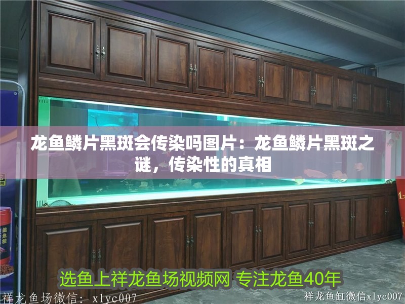 龍魚鱗片黑斑會傳染嗎圖片：龍魚鱗片黑斑之謎，傳染性的真相