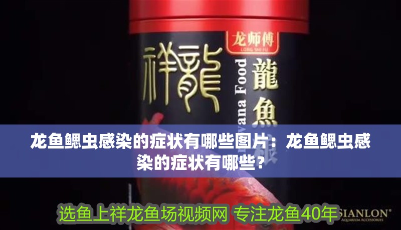 龍魚干蝦有營(yíng)養(yǎng)嗎 龍魚鰓蟲感染的癥狀有哪些圖片:龍魚鰓蟲感染的癥狀有哪些? 水族問(wèn)答 龍魚鰓蟲感染的癥狀有哪些圖片:龍魚鰓蟲感染的癥狀有哪些? 龍魚鰓蟲感染的癥狀有哪些圖片:龍魚鰓蟲感染的癥狀有哪些? 水族問(wèn)答