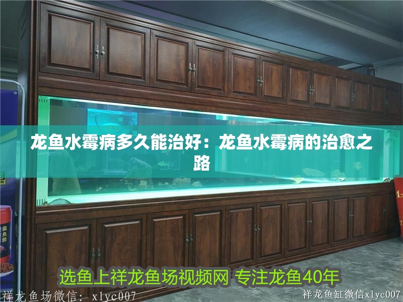 給大魚缸換水的作文:體驗給大魚缸換水的樂趣:體驗給大魚缸換水:給大魚缸換水的作文 龍魚水霉病多久能治好:龍魚水霉病的治愈之路 水族問答 龍魚水霉病多久能治好:龍魚水霉病的治愈之路 龍魚水霉病多久能治好:龍魚水霉病的治愈之路 水族問答