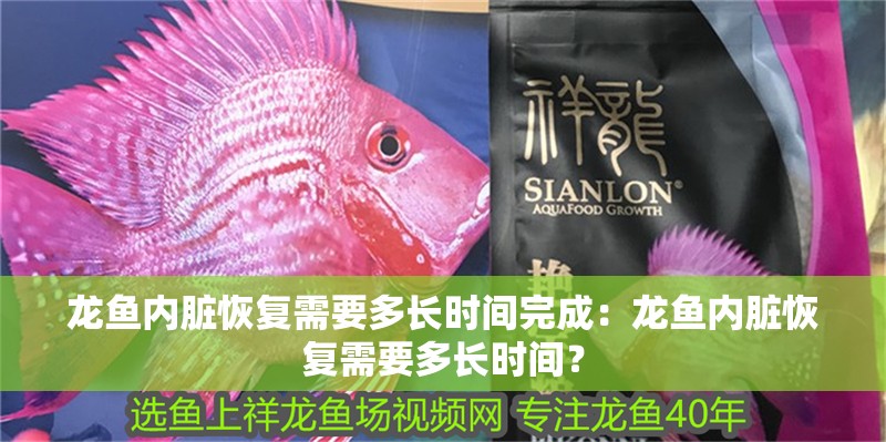 我的虎魚真菌感染了要怎么處理 龍魚內(nèi)臟恢復(fù)需要多長時(shí)間完成:龍魚內(nèi)臟恢復(fù)需要多長時(shí)間? 水族問答 龍魚內(nèi)臟恢復(fù)需要多長時(shí)間完成:龍魚內(nèi)臟恢復(fù)需要多長時(shí)間? 龍魚內(nèi)臟恢復(fù)需要多長時(shí)間完成:龍魚內(nèi)臟恢復(fù)需要多長時(shí)間? 水族問答