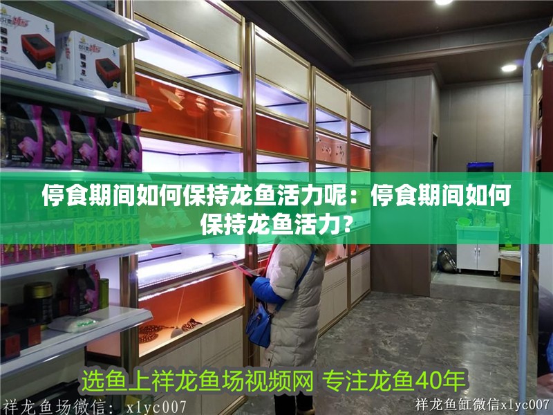 停食期間如何保持龍魚活力呢：停食期間如何保持龍魚活力？ 停食期間如何保持龍魚活力呢：停食期間如何保持龍魚活力？ 水族問答